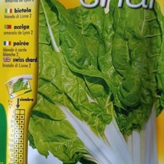 ACELGA AMARILLA DE LYON 2 - Imagen 1