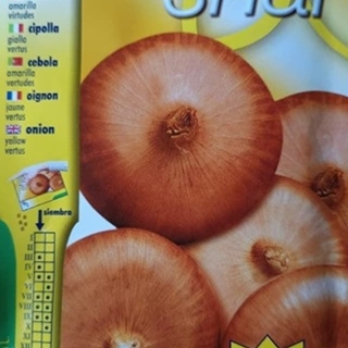 CEBOLLA AMARILLA VIRTUDES - Imagen 1